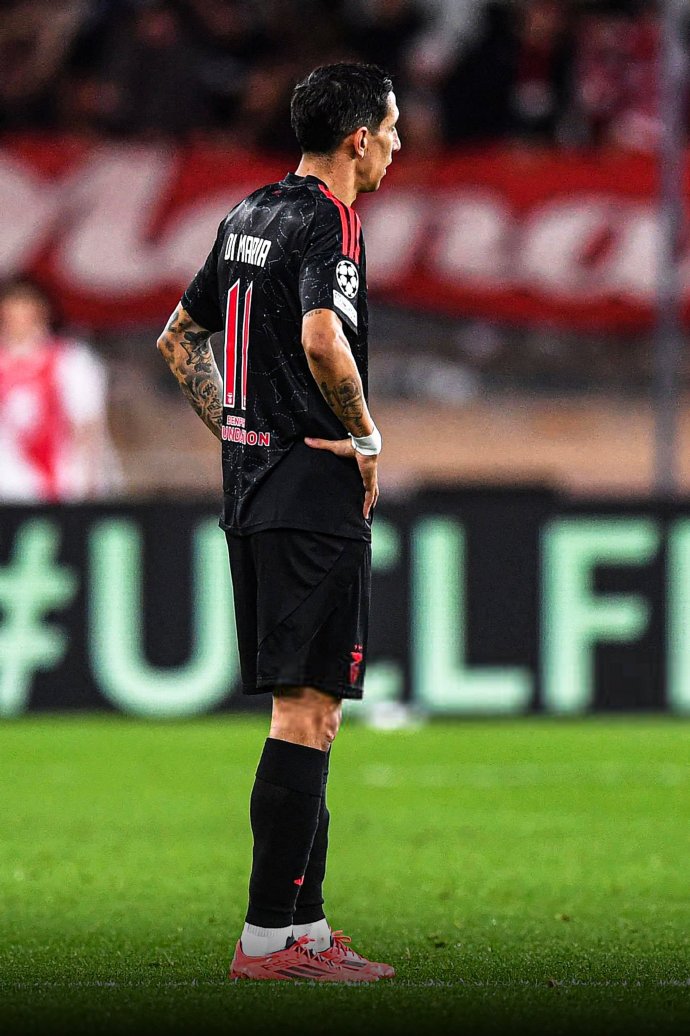 包含国王杯倒计时，本菲卡窗口期伤情更新，细节引发关注，震撼外界，年轻球员得到机会的词条